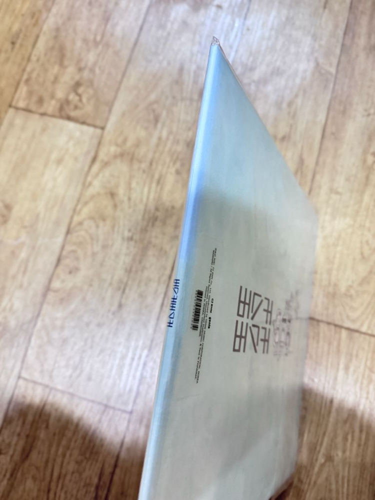 버스커 버스커 1집 + 1집 마무리 합본(투명 컬러 2LP)--2