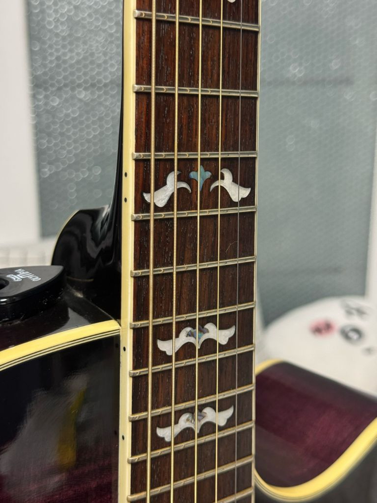 크래프터 노블 TPS--8