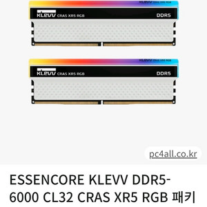 에센코어 클레브 32GB (16*2)