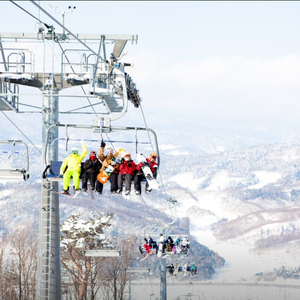 리프트권 ~휘닉스파크 알펜시아 엘리시안강촌 웰리힐리 오크밸리 이미지