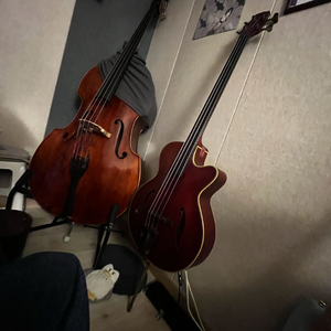 takamine pb-30 어쿠스틱 프렛리스 베이스