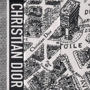 디올 Plan de Paris 미차 스카프 이미지