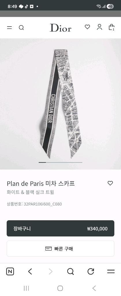 디올 Plan de Paris 미차 스카프 이미지