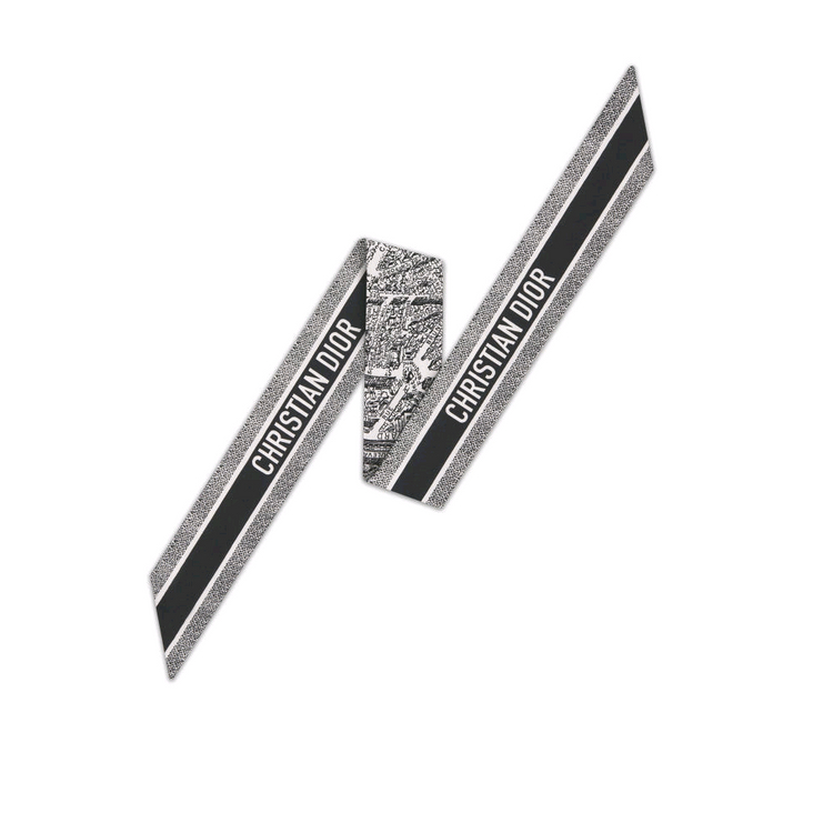 디올 Plan de Paris 미차 스카프 이미지