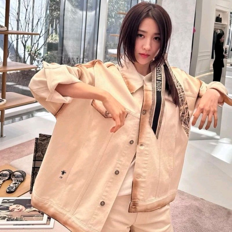 디올 Plan de Paris 미차 스카프 이미지