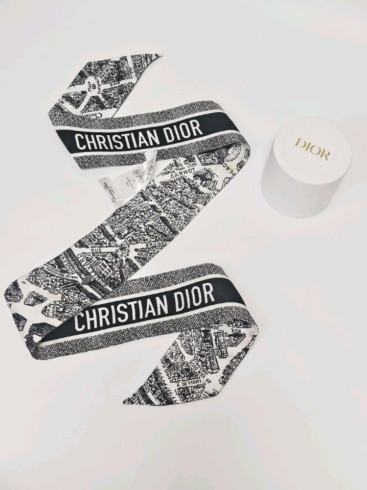 디올 Plan de Paris 미차 스카프 이미지