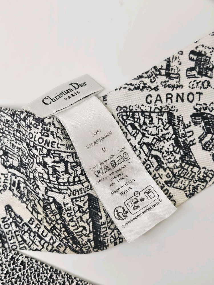 디올 Plan de Paris 미차 스카프 이미지