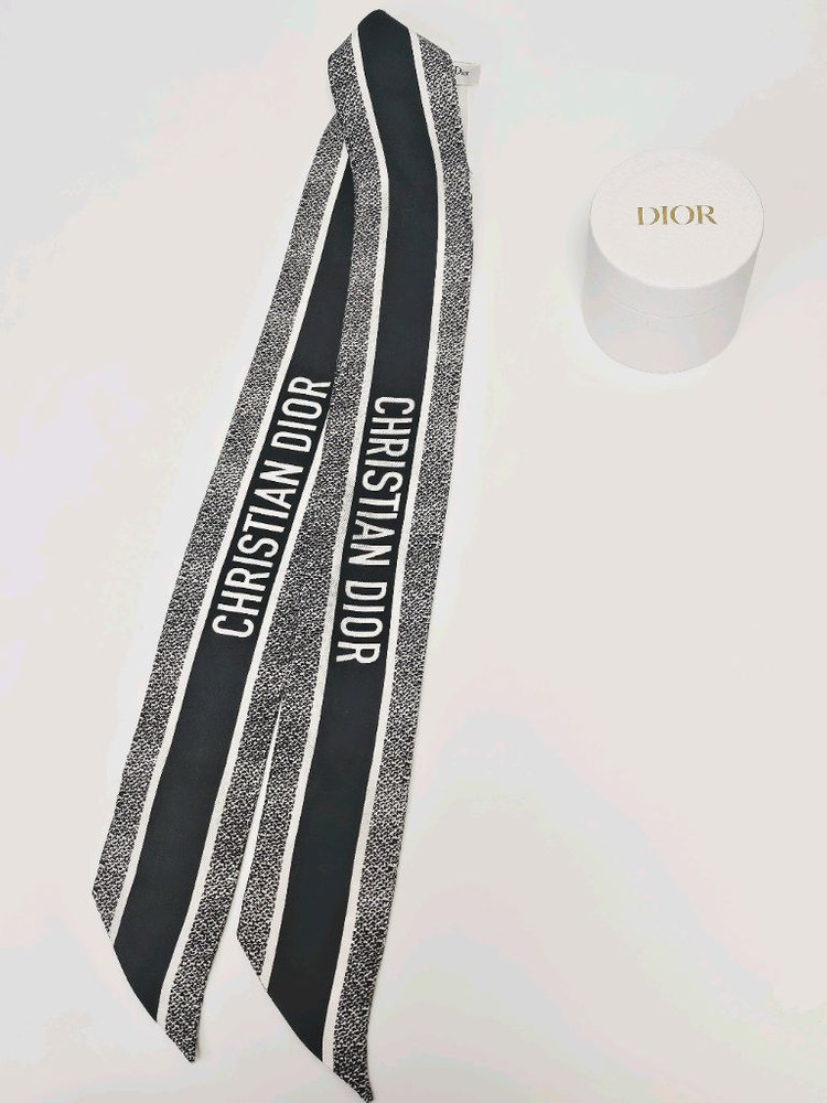 디올 Plan de Paris 미차 스카프 이미지