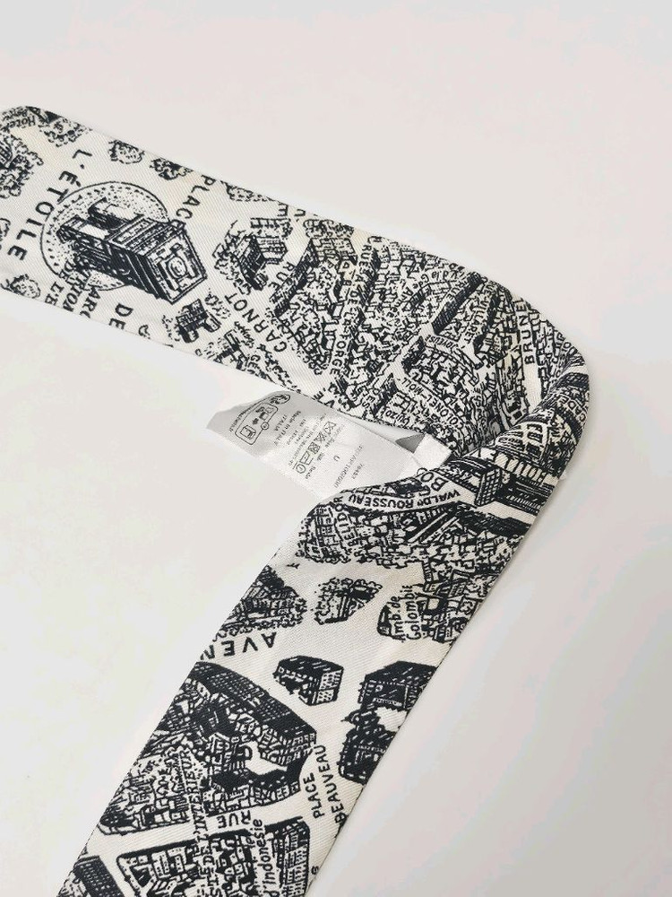 디올 Plan de Paris 미차 스카프 이미지