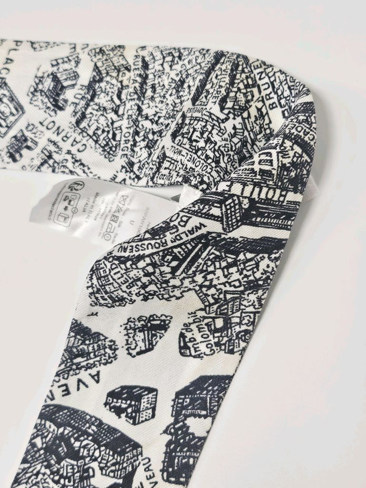 디올 Plan de Paris 미차 스카프 이미지