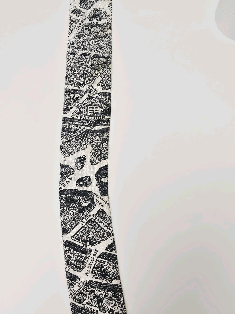 디올 Plan de Paris 미차 스카프 이미지