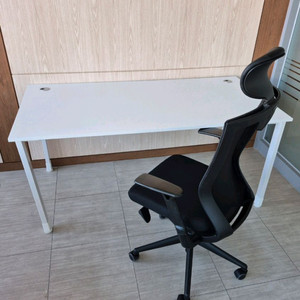 사무용 책상(신품)시디즈 T50HF 셋트 50개