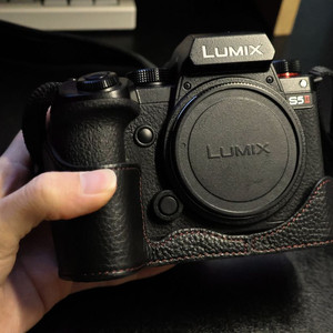 파나소닉 루믹스 S5M2(S5II)