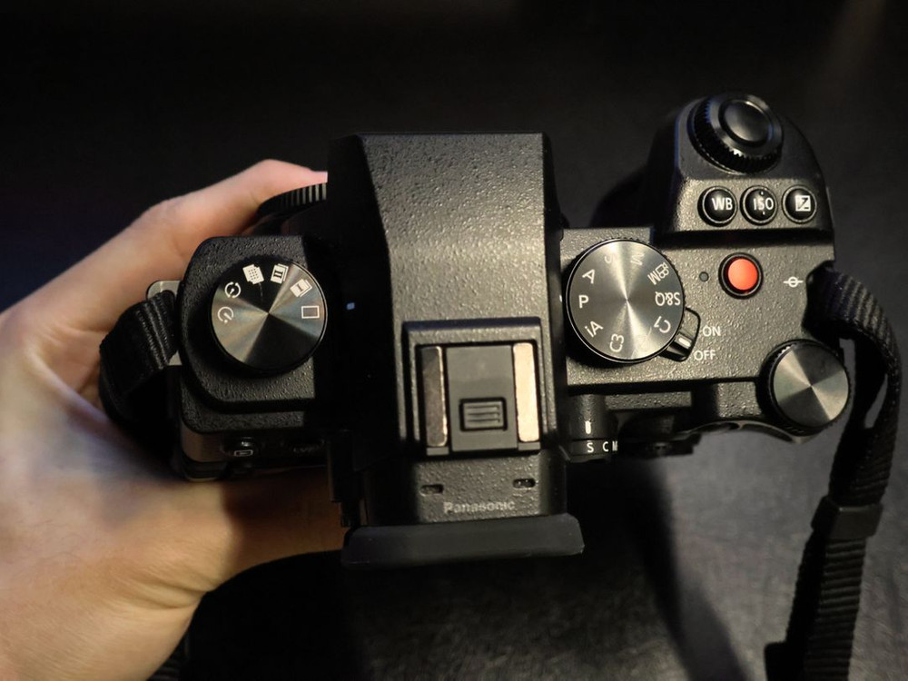 파나소닉 루믹스 S5M2(S5II)--5