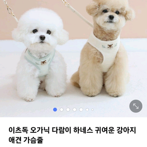 이츠독 이츠독 오가닉 다람이 강아지 하네스 L사이즈 이미지