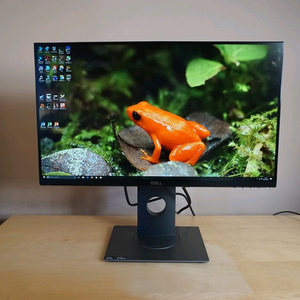 델 S2417DG QHD 165hz 24인치 고해상도 게이밍모니터