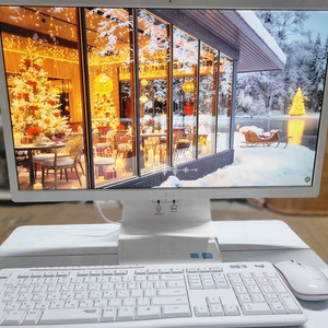 LG(24V360-LR2MK) 24인치올인원 PC