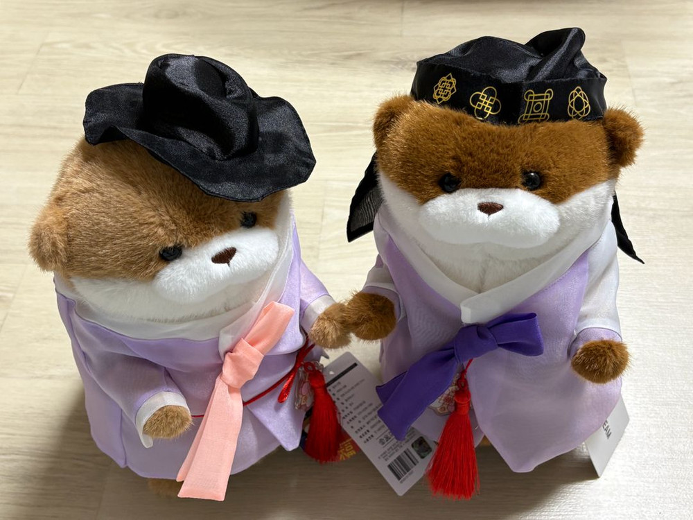 정품) 우소우소짱 브라운,다크브라운 한복 중형인형 새상품 이미지