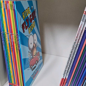 fly guy(플라이 가이) 15권+cd