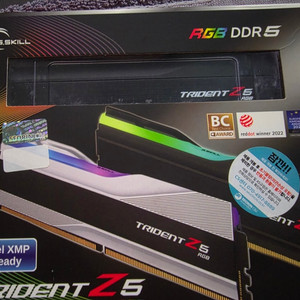 G.SKILL DDR5-6000 CL36 TRIDENT Z5 NEO RGB J 팝니다. 이미지