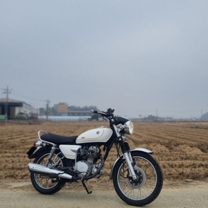 sym 울프 레전드 125 13년식/1만대키로수/상태굿/급매 이미지