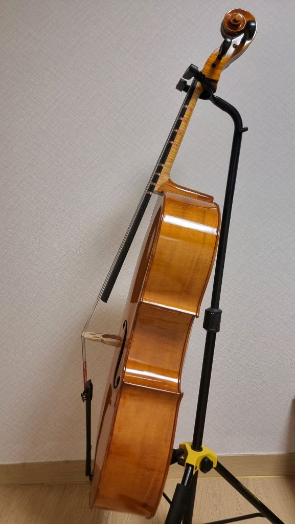 체코 Josef Jan Dvorak 4/4 첼로 (수리)--2