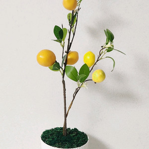 새상품)이케아화분 레몬나무 조화