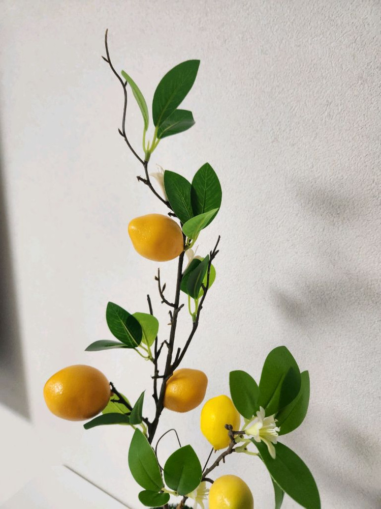 새상품)이케아화분 레몬나무 조화--1