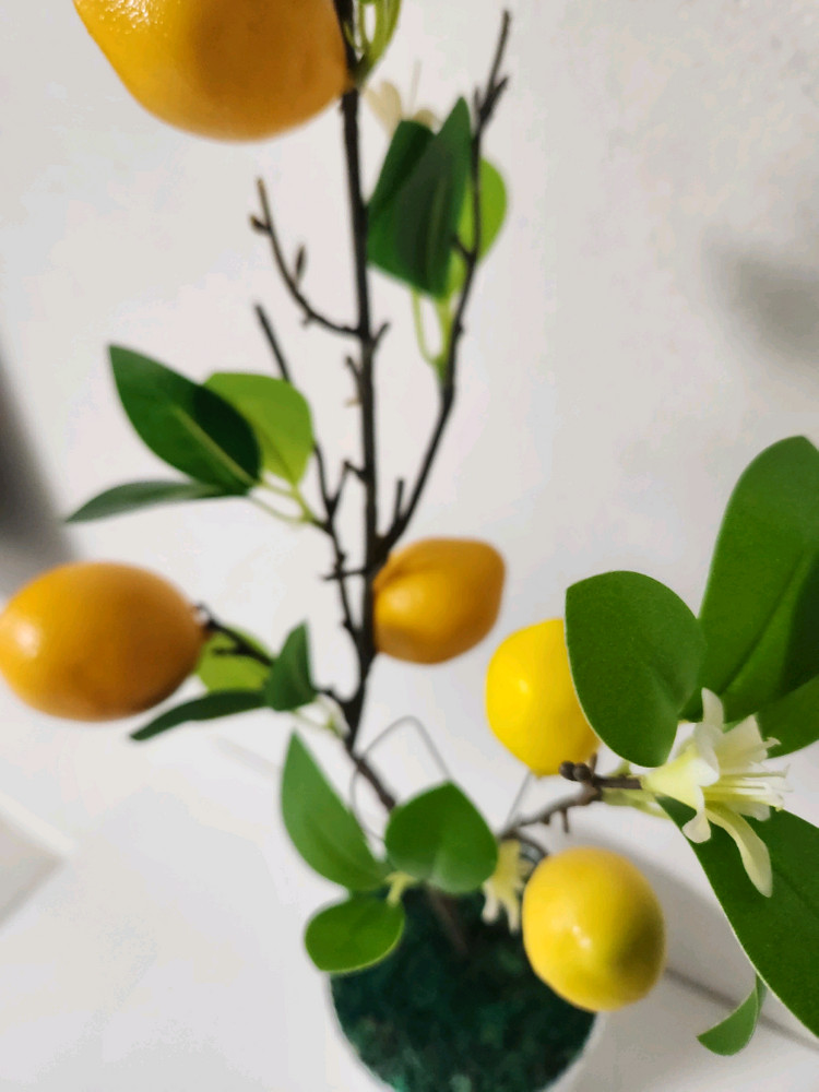 새상품)이케아화분 레몬나무 조화--3