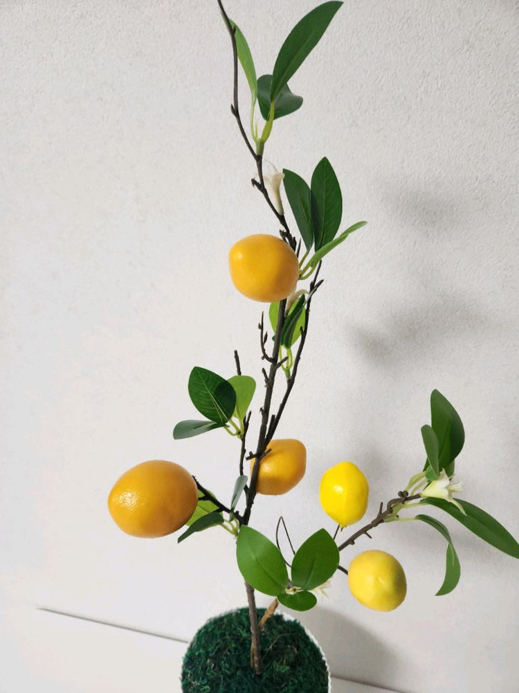 새상품)이케아화분 레몬나무 조화--4