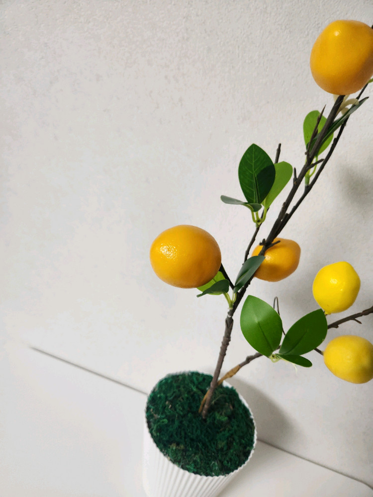 새상품)이케아화분 레몬나무 조화--6
