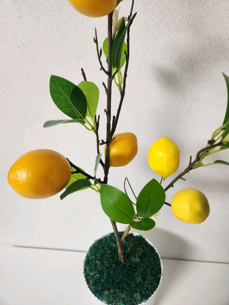 새상품)이케아화분 레몬나무 조화--7