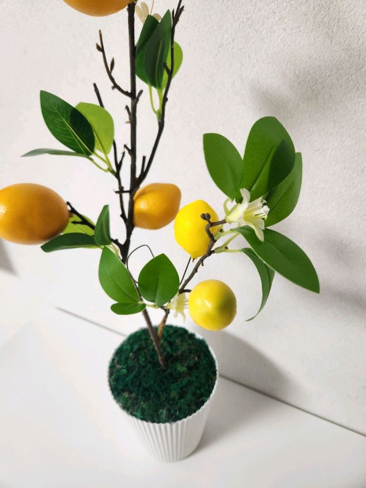 새상품)이케아화분 레몬나무 조화--8