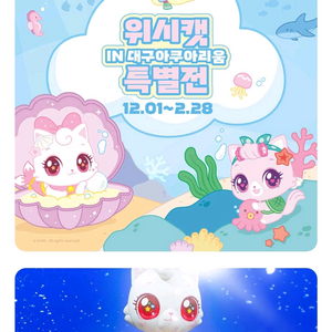 대구아쿠아리움 위시캣 입장권