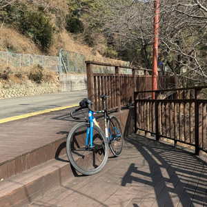 엔진11 크릿디 판매/대차 이미지