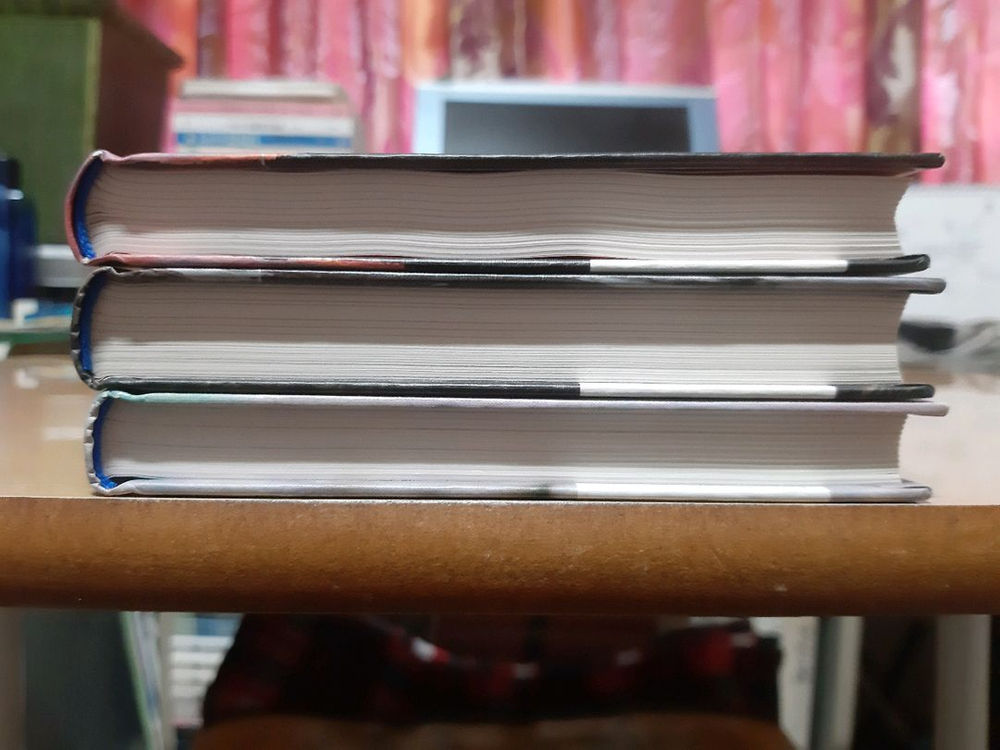 신카이 마코토 감독 관련 책 3권 이미지