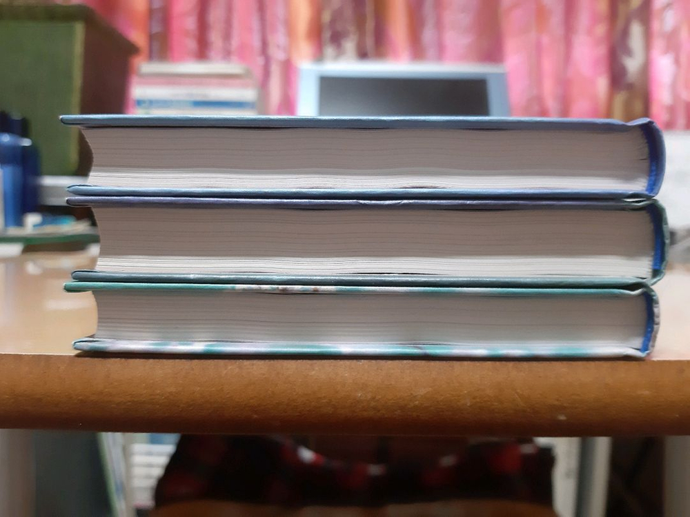 신카이 마코토 감독 관련 책 3권 이미지