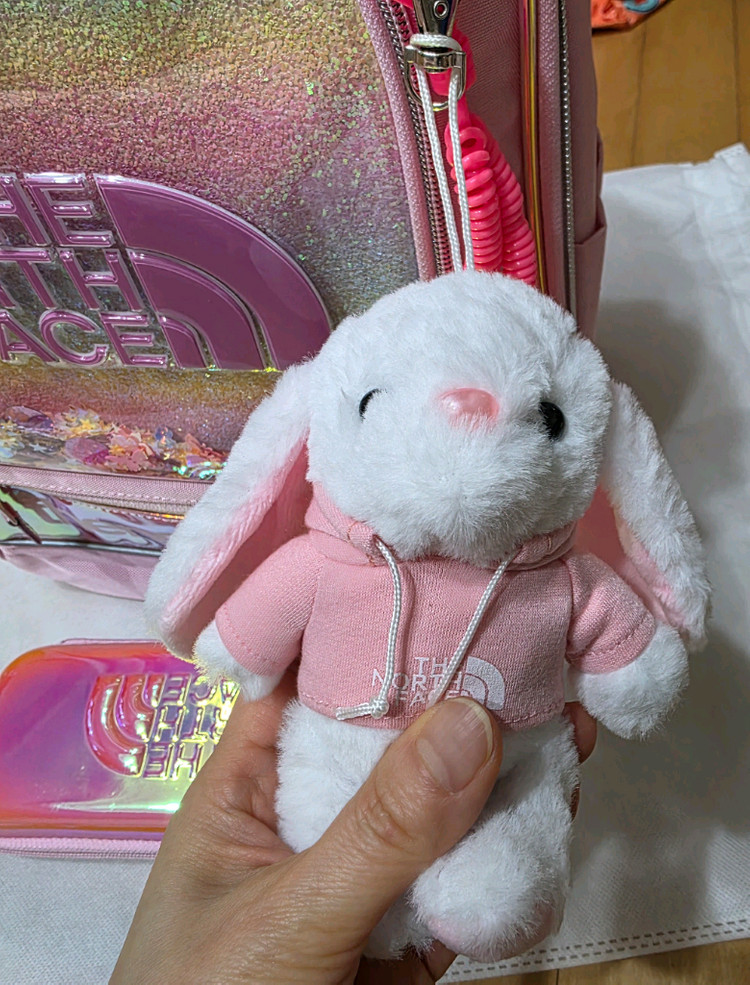 #신학기 특가! 노스페이스 저학년 책가방 세트--3