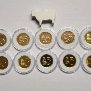 동전/특년도.준특년도 5주 줄세우기