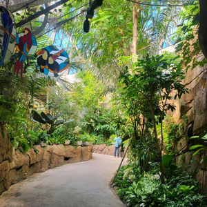 미니pc 라이젠9 삽니디