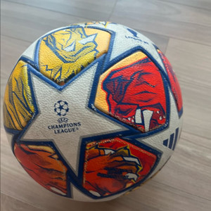 챔피언스리그 축구공