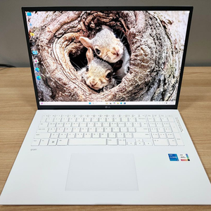 LG전자 그램17 17ZD95P (램16G/SSD 500G) 노트북