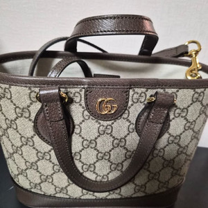 GG 캔버스 미니 핸드백