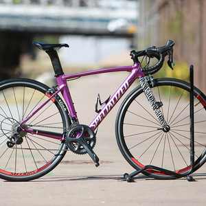 17년 스페셜 알레 스프린트 DSW SL 한정판 퍼플/ 제브라 49