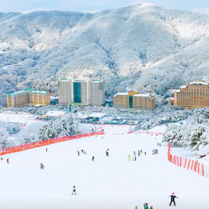 리프트권-장비렌탈~휘닉스파크 웰리힐리 알펜시아 오크밸리 엘리시안강촌 이미지