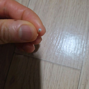 14k 정품 2미리 6바 진주피어싱