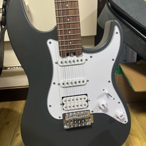 s급 헥스 e100 일렉기타 풀세트