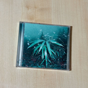 [CD] 신해경 - 1집 속꿈, 속꿈 이미지