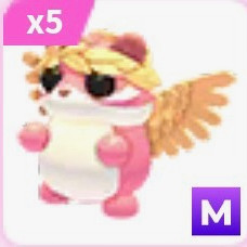 입양하세요 무능 메가천사다람쥐 (재고6마리) 이미지