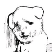 구글 깊카/컬쳐 70퍼 70% 이미지